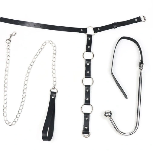 Anal Hooks Anal with Hook 5853 and Leash EverydayUse Collar Kinky 1015
